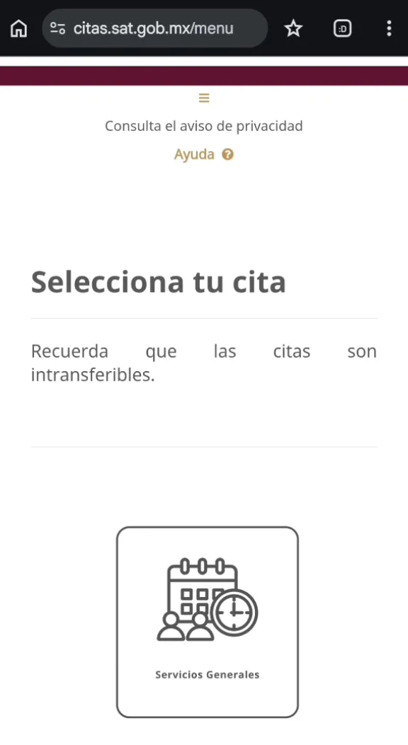 Pantalla Selecciona tu cita con la opción Servicios Generales