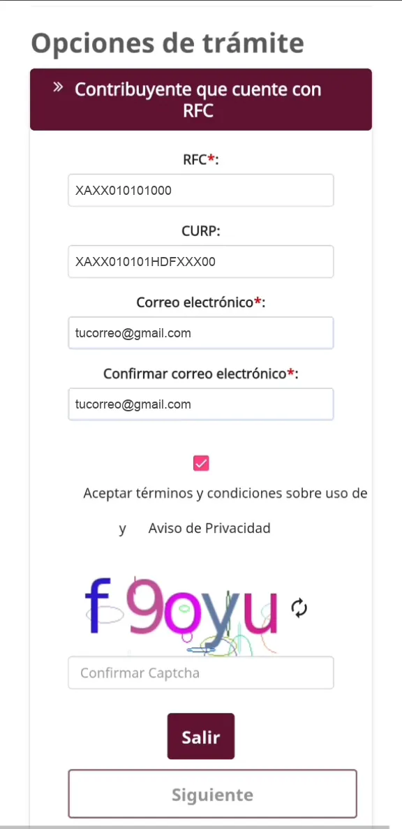 Formulario con los campos RFC, CURP, correo electrónico y confirmar correo electrónico llenos con datos de ejemplo