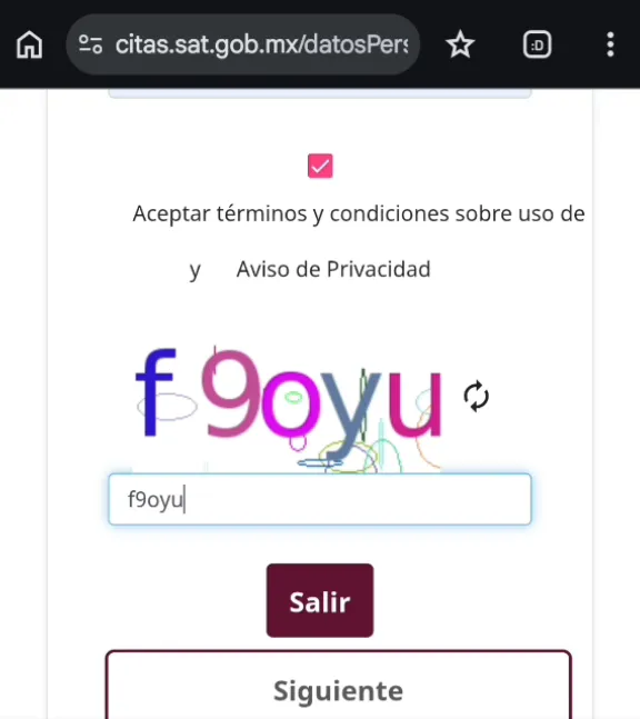 Casilla de términos marcada, imagen captcha, campo con los caracteres escritos y botones Salir y Siguiente