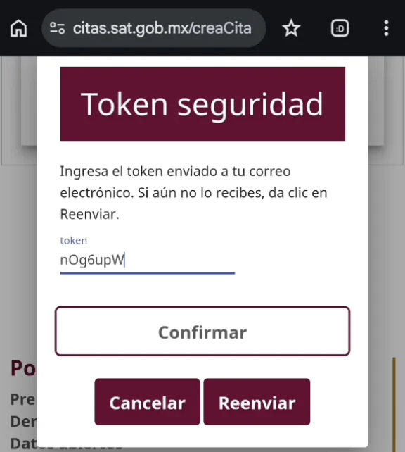 Ventana Token seguridad con el token pegado y los botones Confirmar, Cancelar y Reenviar